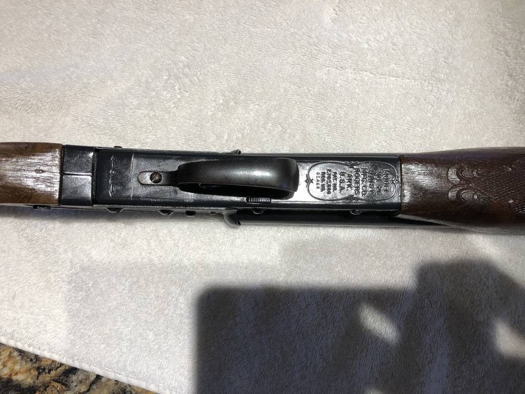 Daisy 21 - Bottom.1609858990.jpg