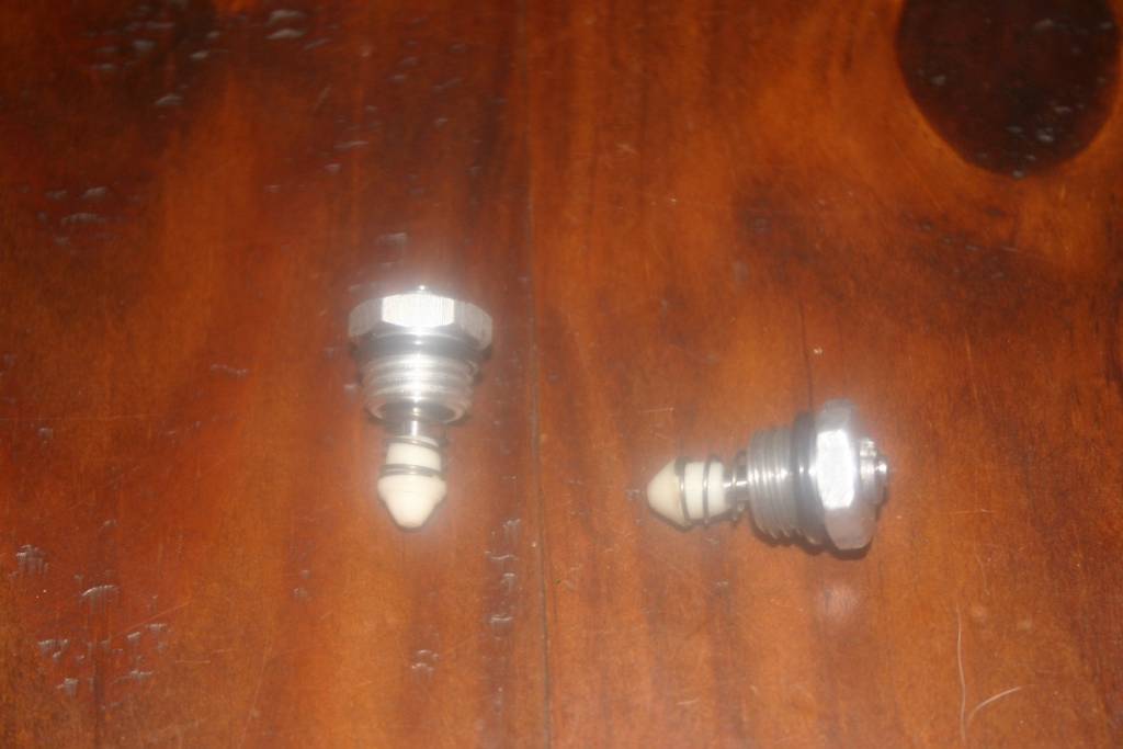 Daisy880valve3.1612056443.JPG