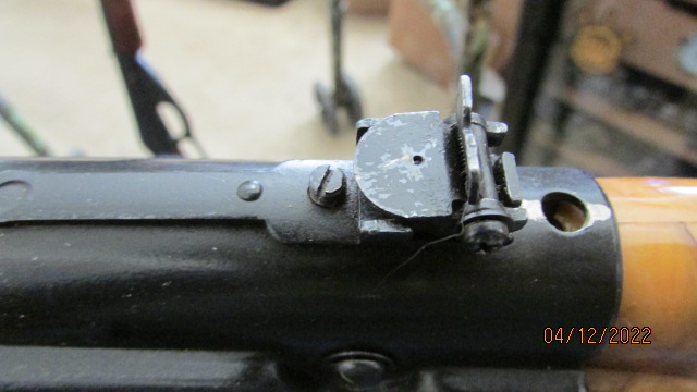 daisyeagle98d.1650464887.JPG