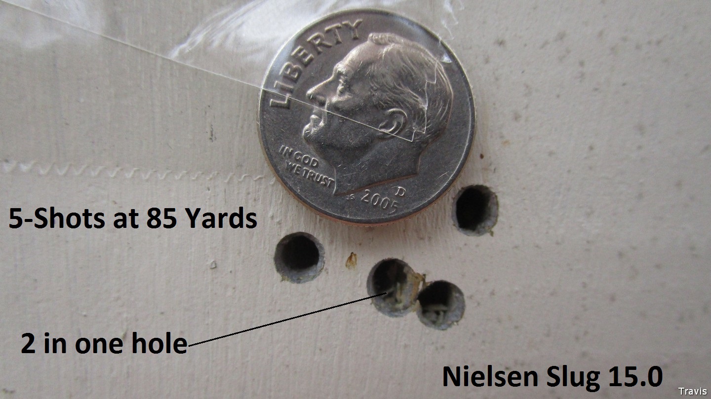 Daystate Wolverine R  HP .177 ` Nielsen 15.0 Slug ` 85-Yards..jpg