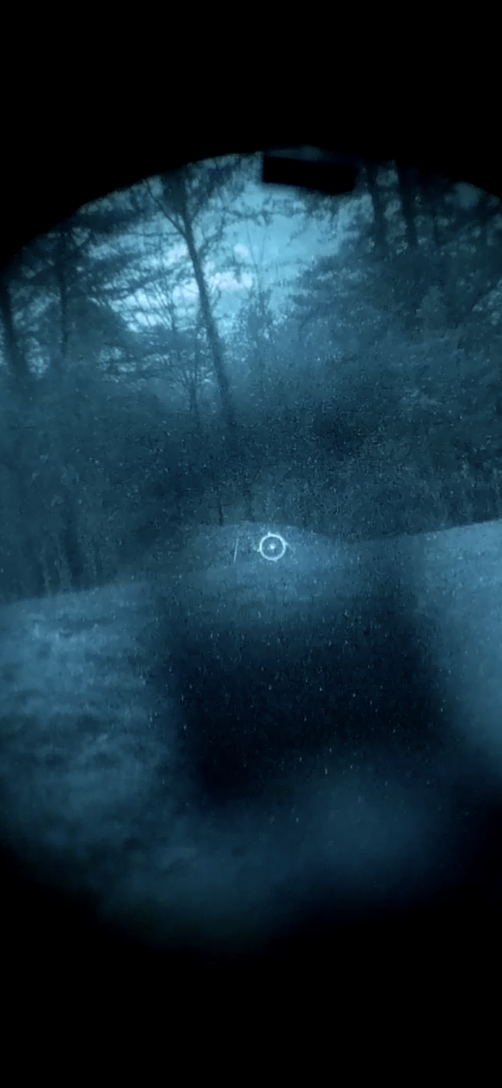 DD58F832-E008-41E2-AFE2-F6DD19E829A8.1641552600.png