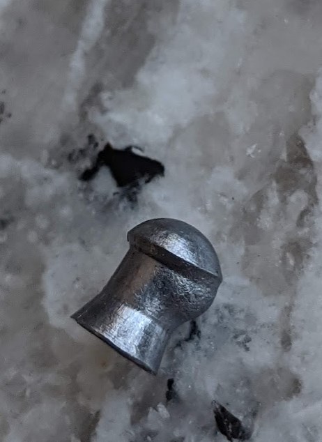 deformed pellet1.jpg