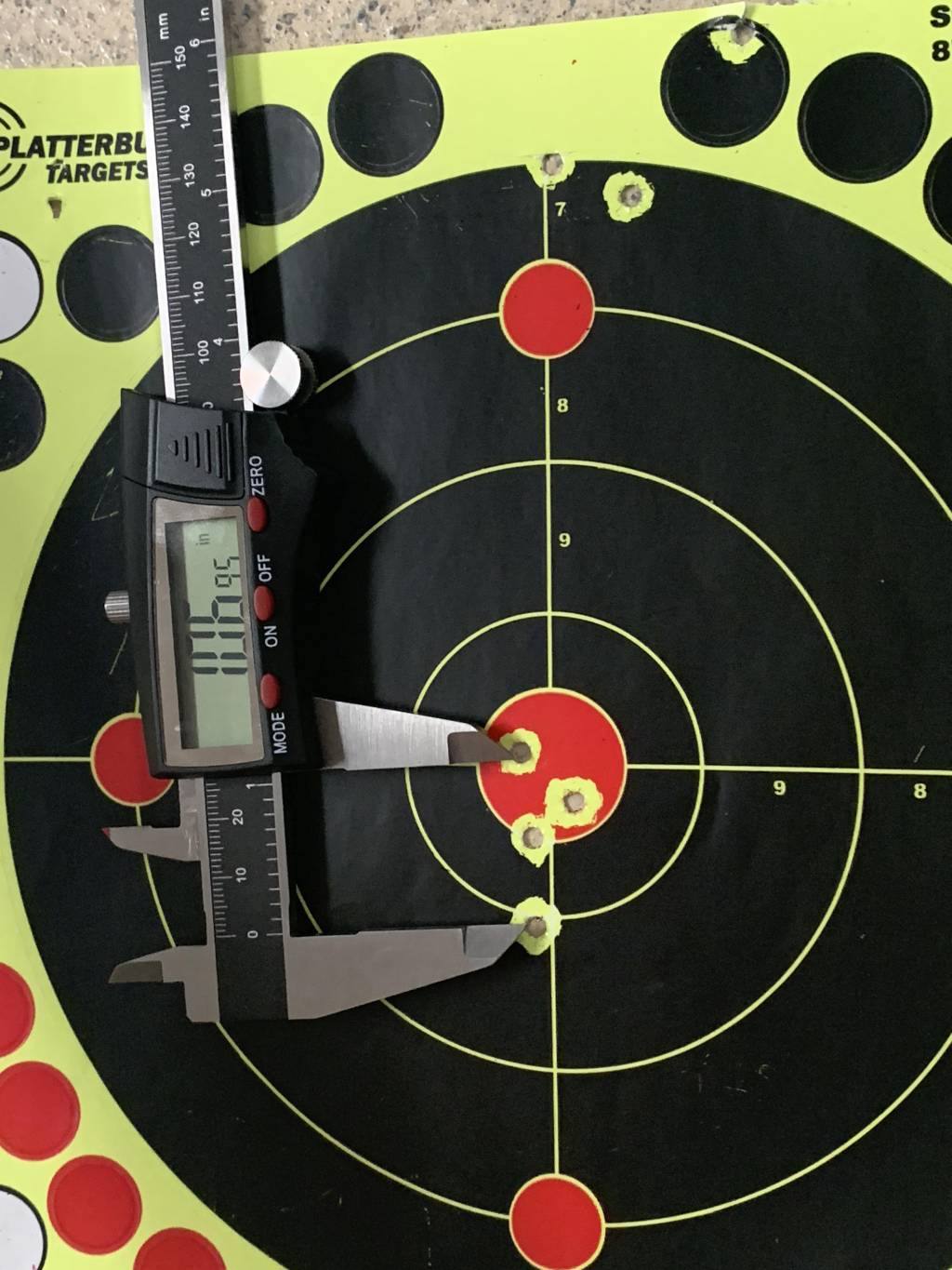 Delta Wolf  100 yards.1648412169.JPG