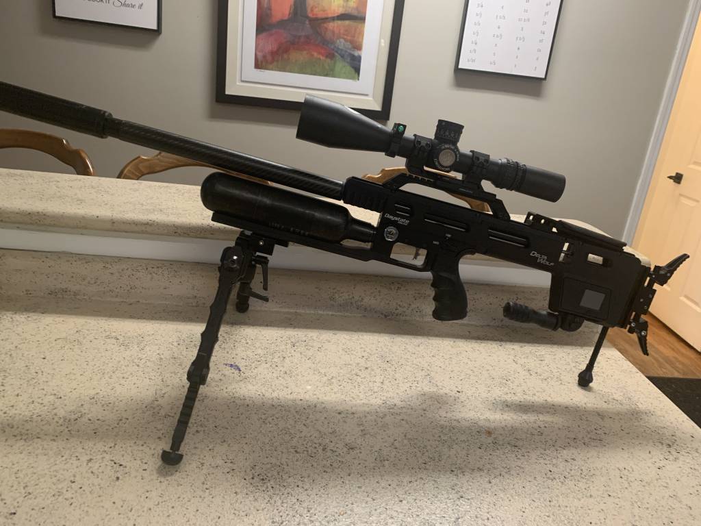 Delta Wolf 2 .22 cal.1646976795.JPG