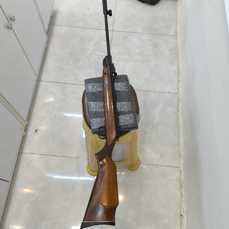 Diana 66.jpg