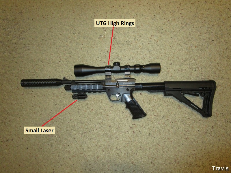 Diana Chaser~Buck Rail-3A.jpg