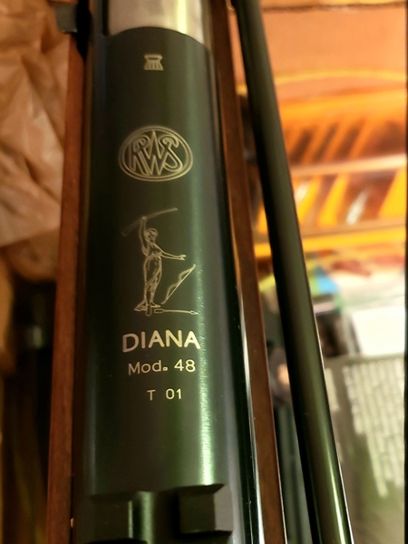Diana Emblem sm.jpg