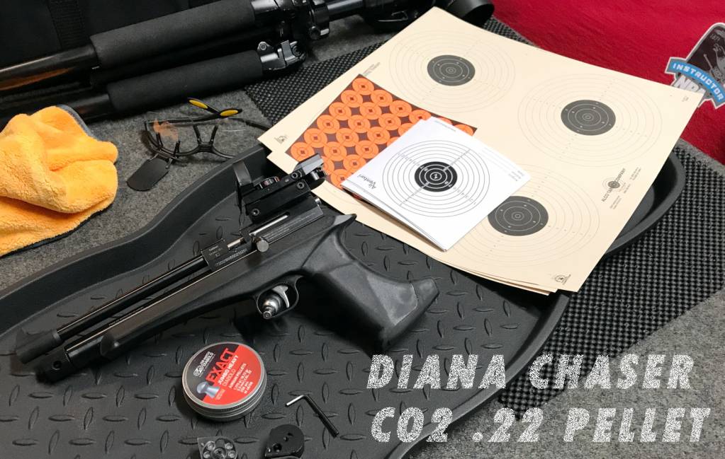 dianachasermay2021a.1621616998.jpg