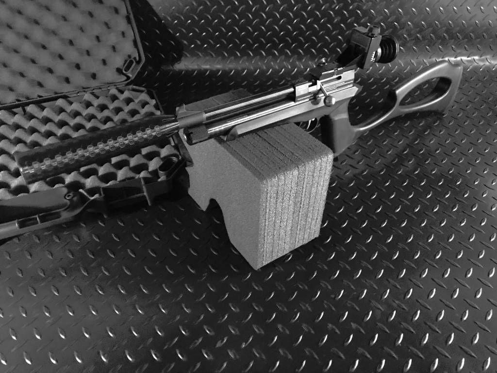dianachaserwithbuckrailsuppressor001.1650977572.jpg