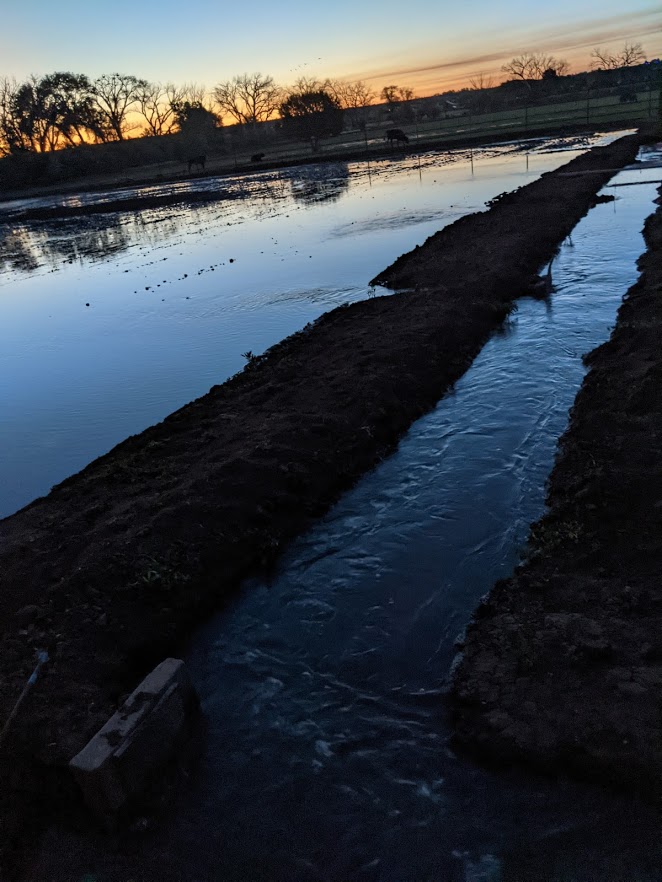 ditch.1624522705.jpg