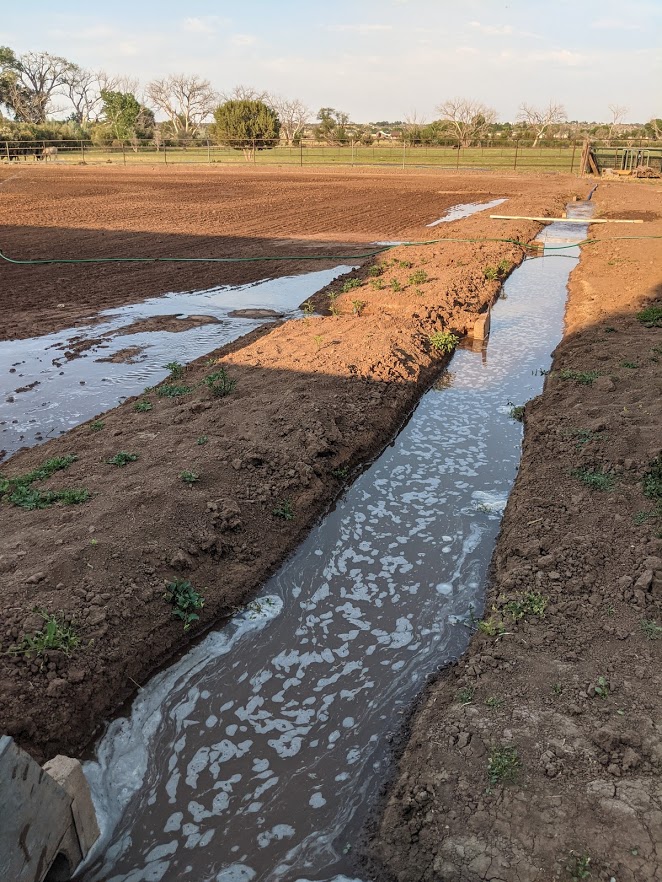 ditch1.1624522705.jpg