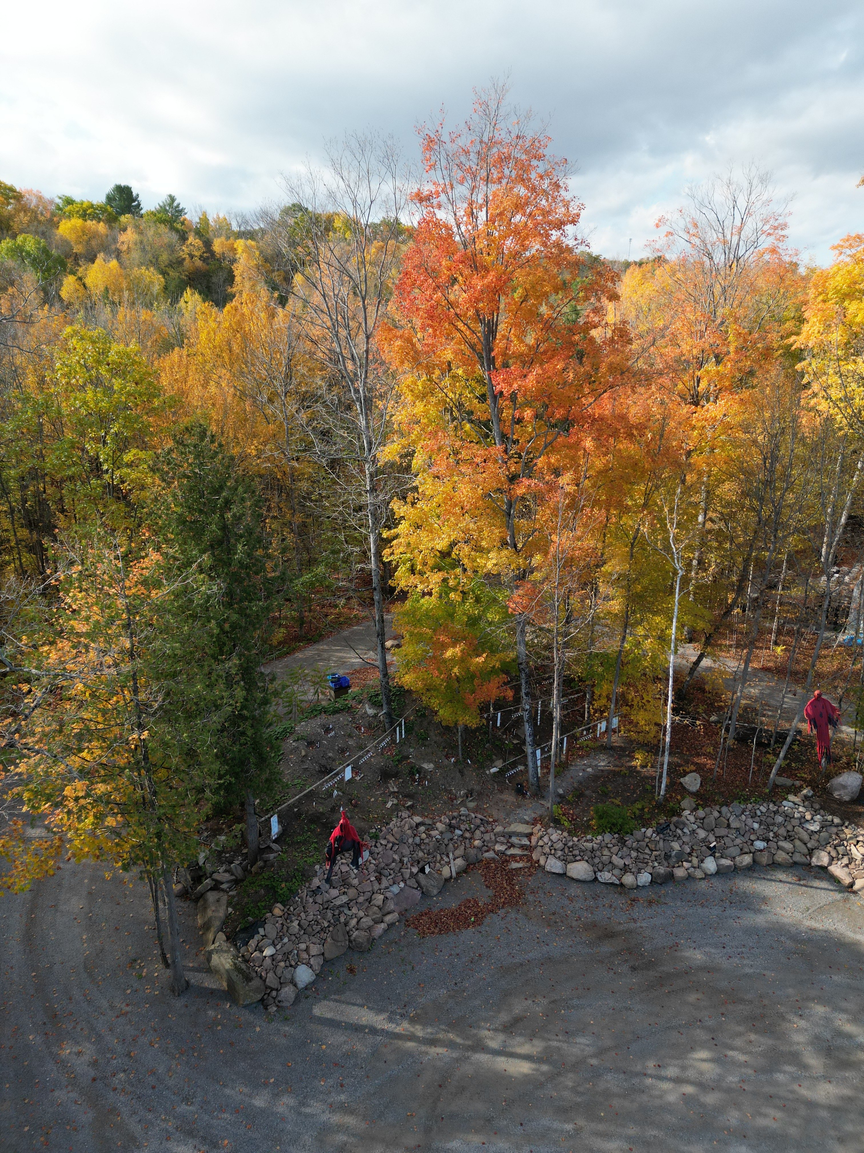 dji_fly_20231018_105528_135_1697685668877_photo.jpeg