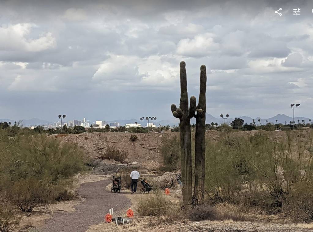 downtown phoenix, saguaro and palms.1611477039.jpg