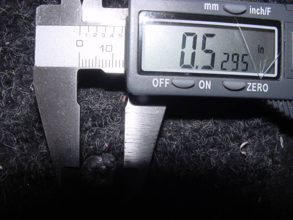 DSC02557.1622183758.JPG