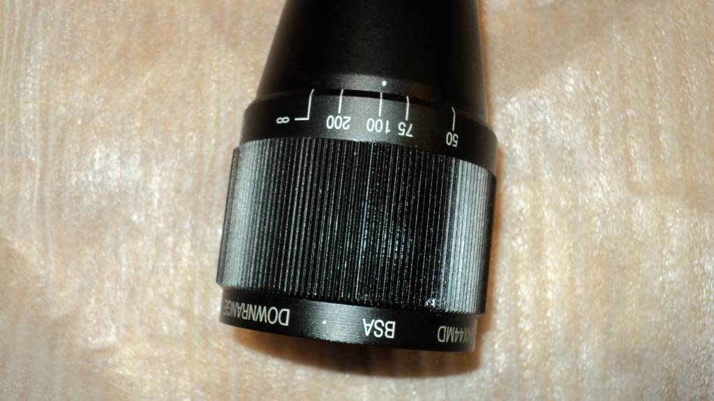 DSC02598.1613781862.JPG