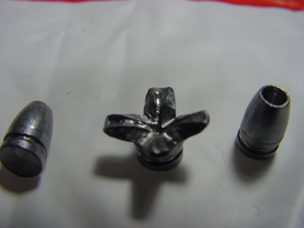 DSC02673.1634427850.JPG