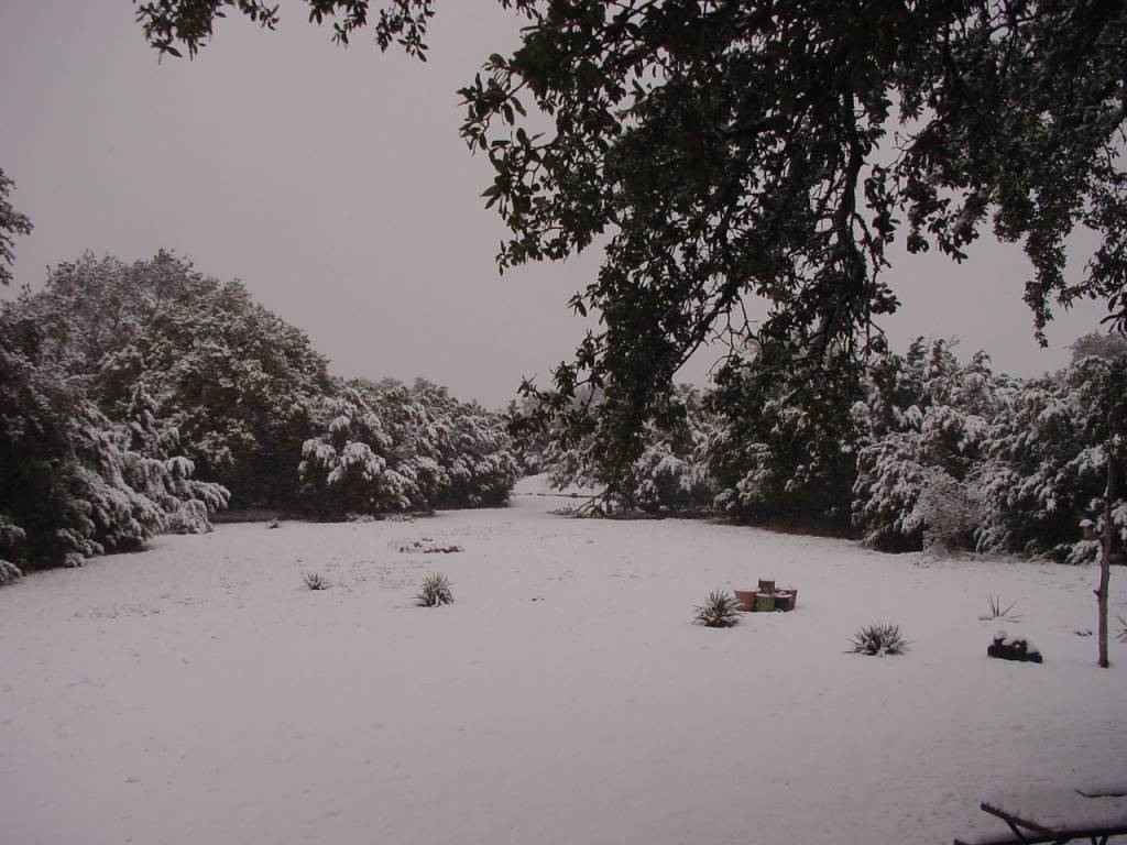 DSC026761  snow in Texas.1610307692.JPG