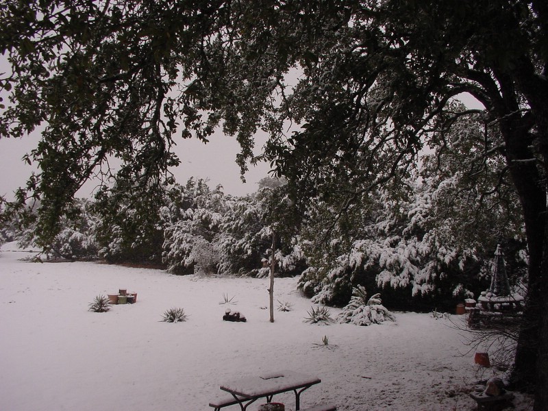 DSC02677-1 Snow in Texas.1610307672.JPG