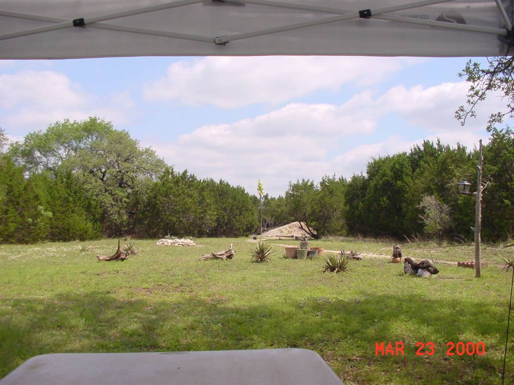 DSC02785.1634426522.JPG