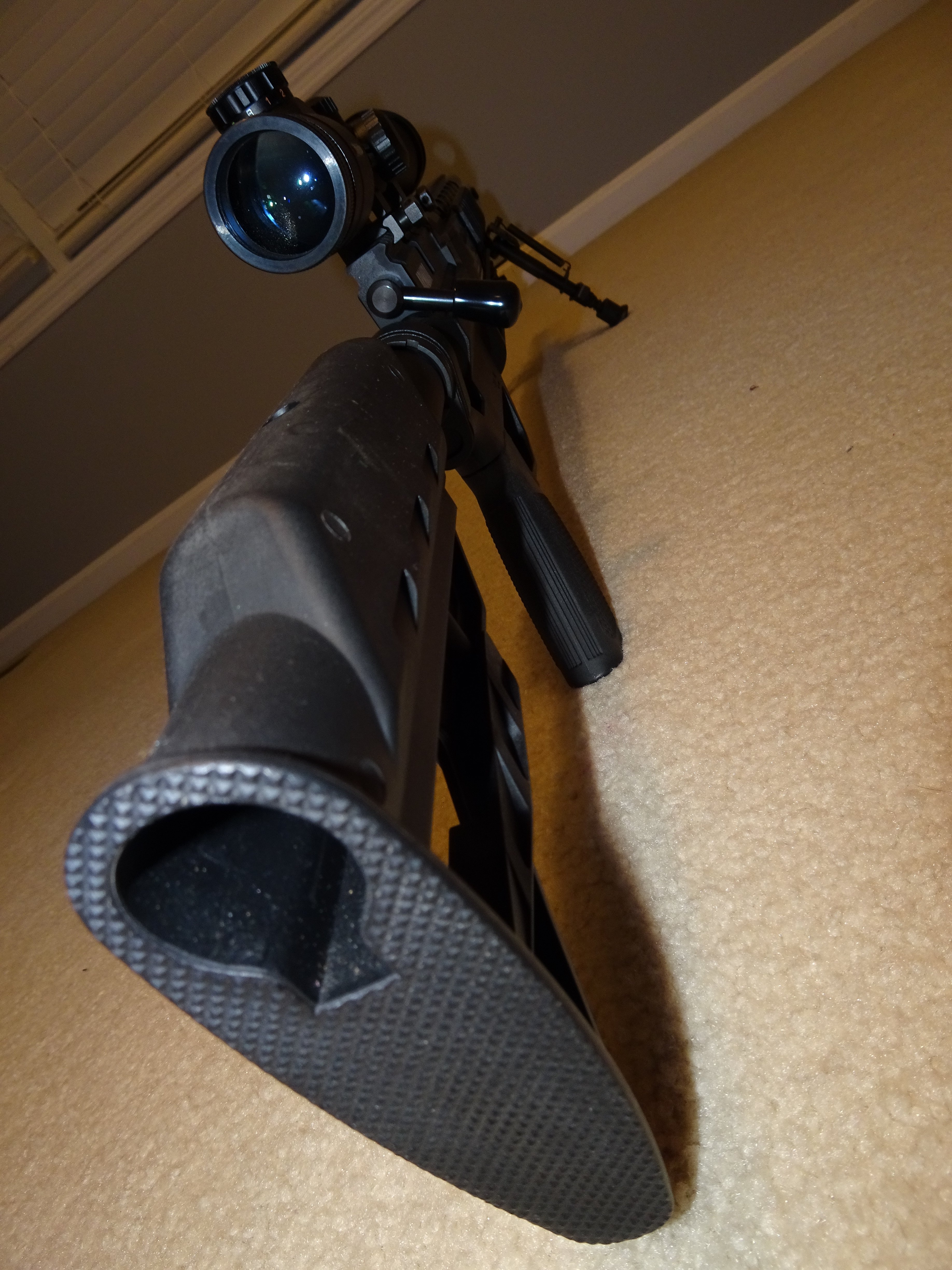 DSC03557.JPG