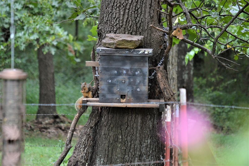 DSC_0002.1600555075.JPG