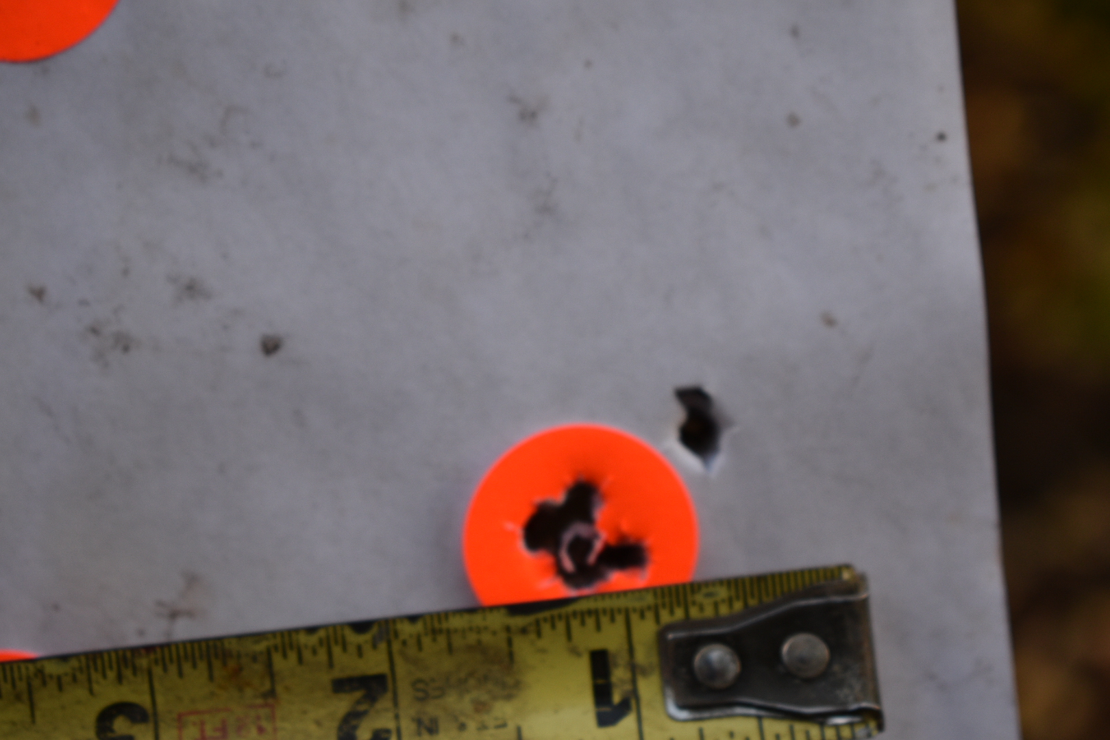 DSC_0312.JPG
