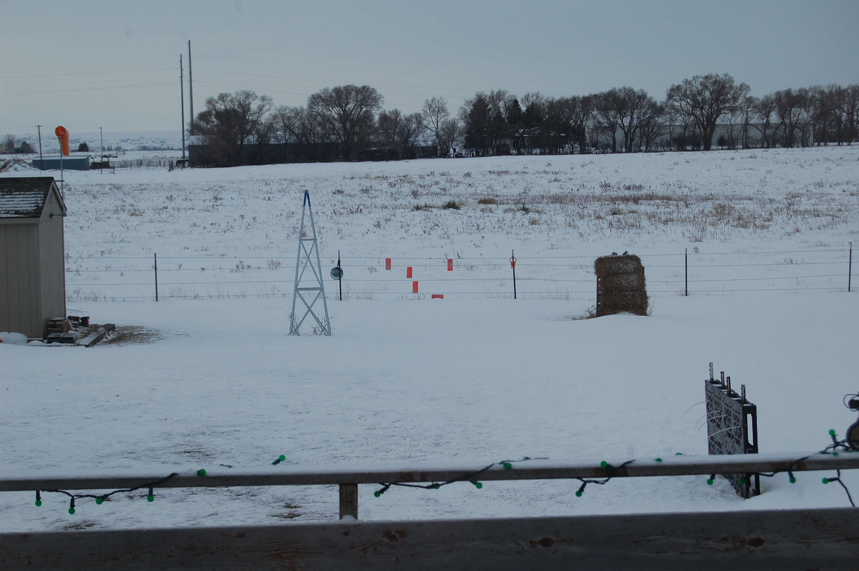 DSC_0502.JPG