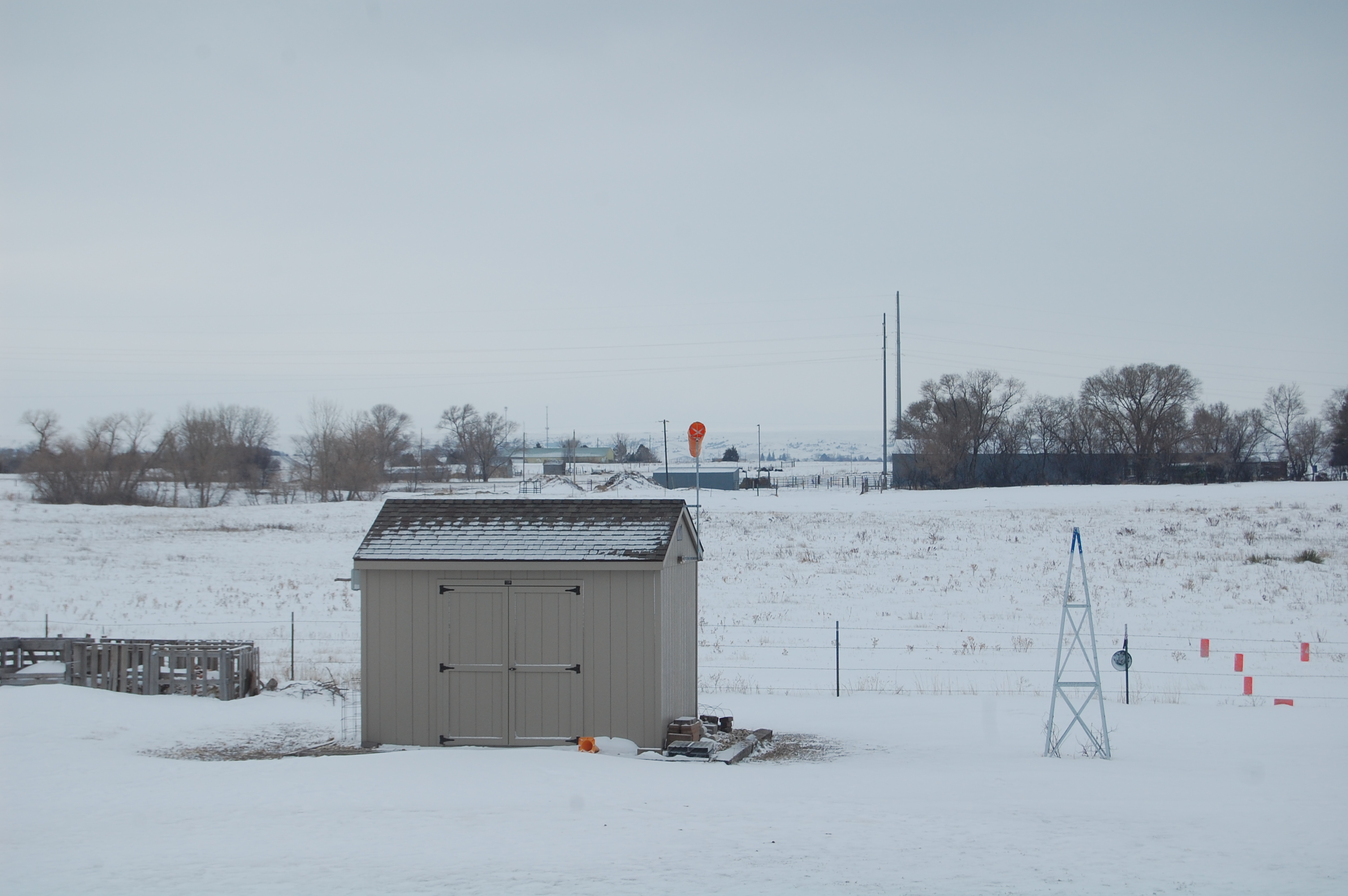 DSC_0503.JPG