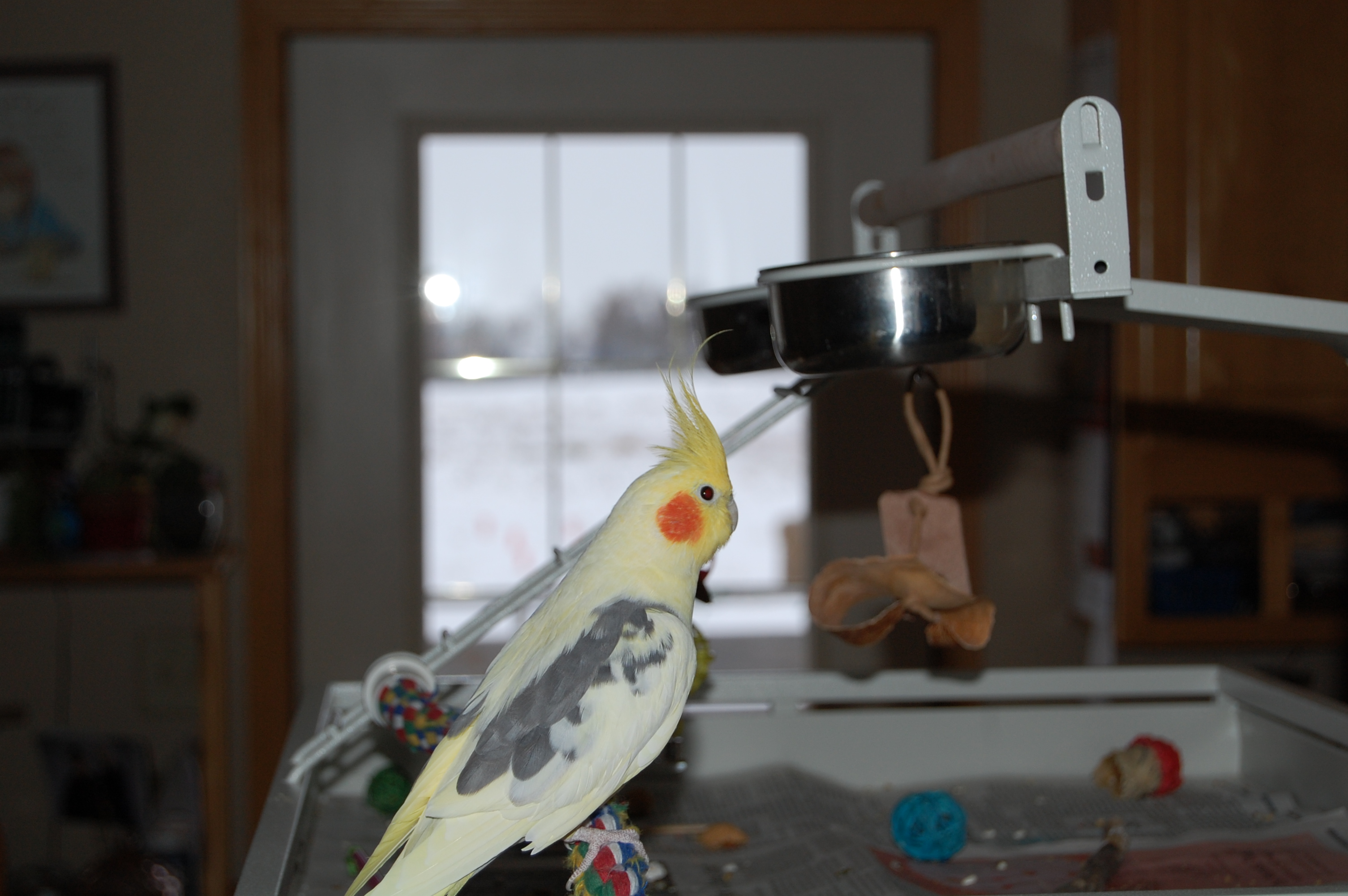 DSC_0504.JPG