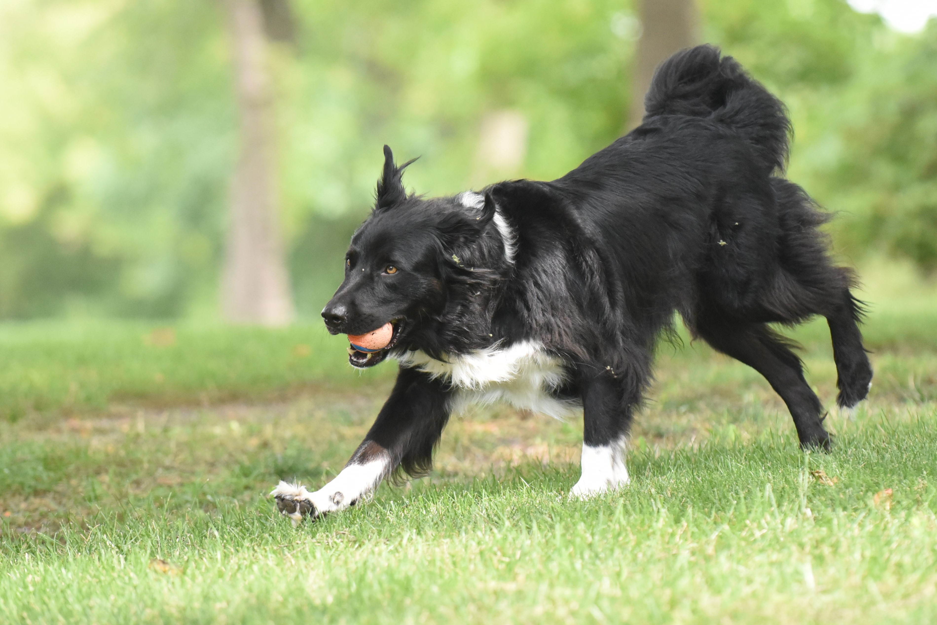 DSC_8907a.jpg