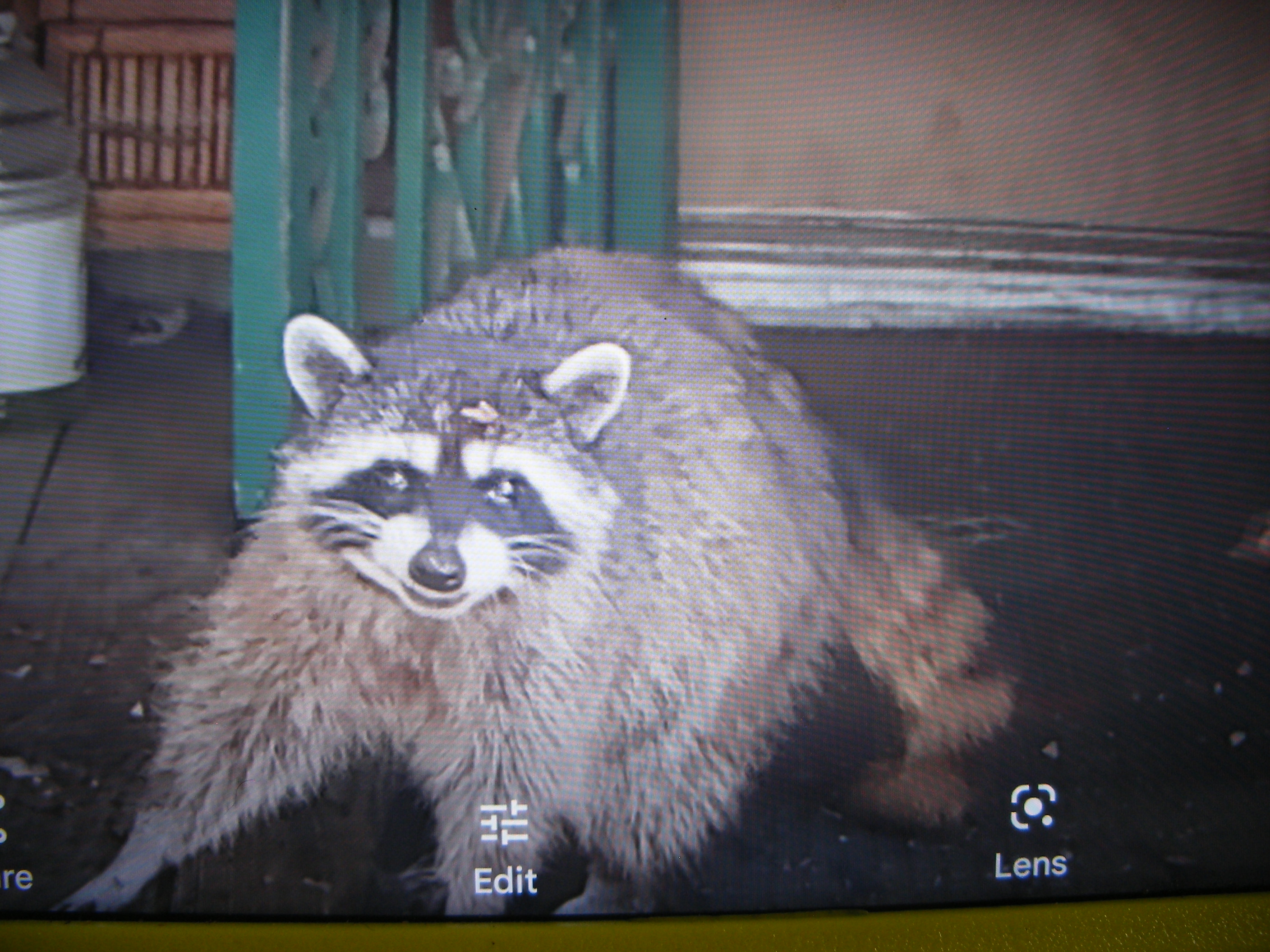 DSCF0585.JPG