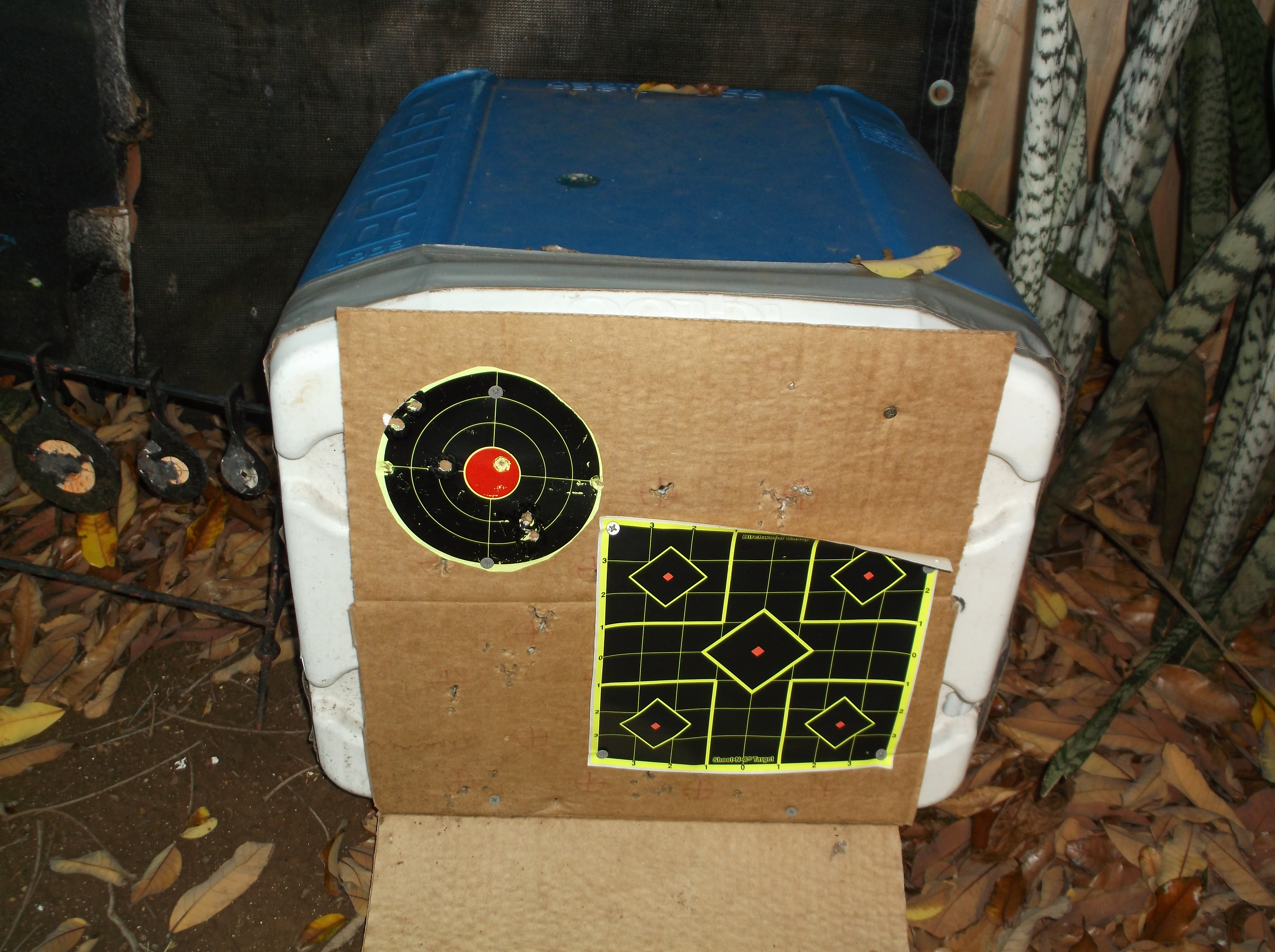 DSCF3255.JPG