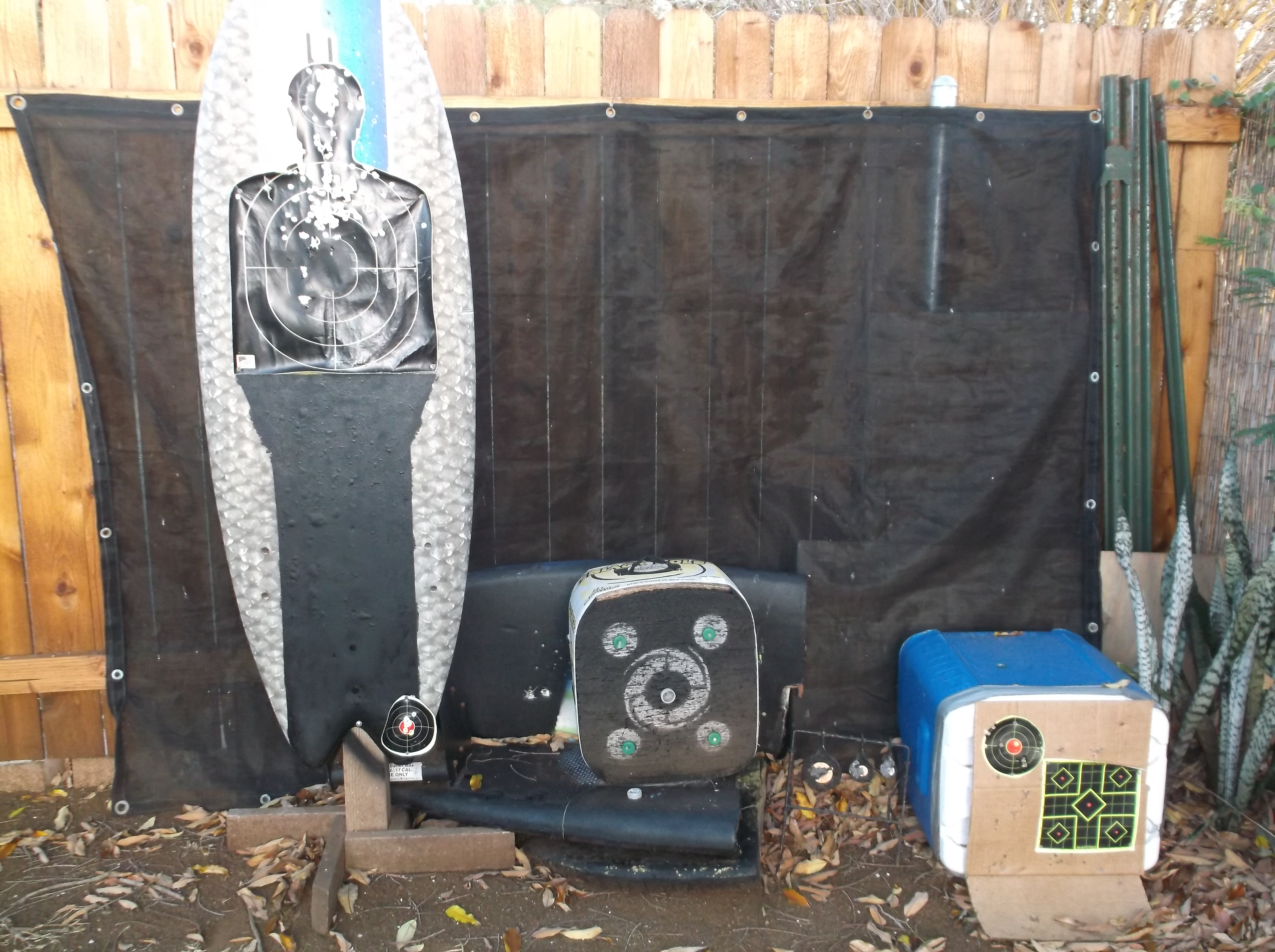 DSCF3257.JPG