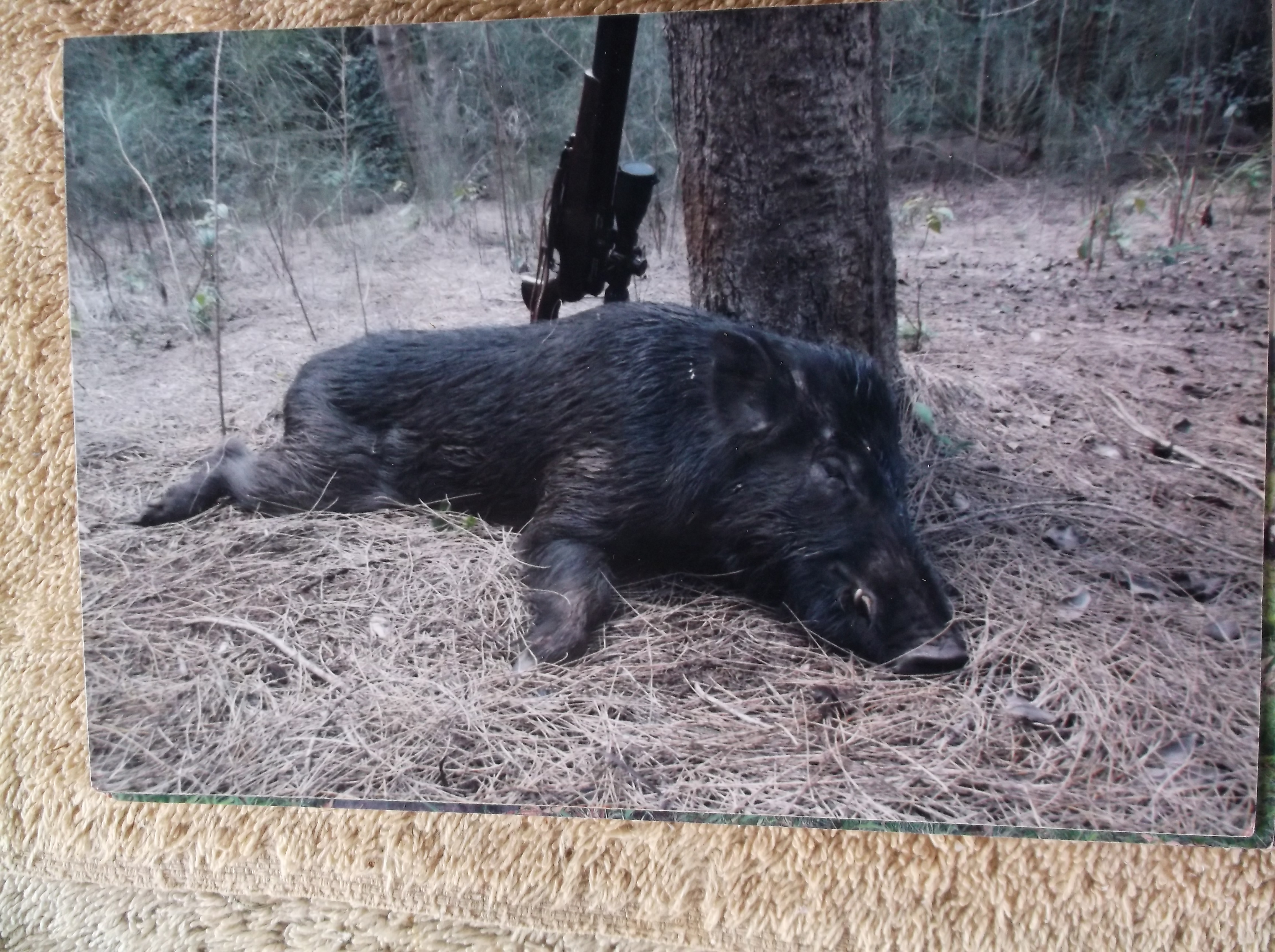 DSCF3270.JPG