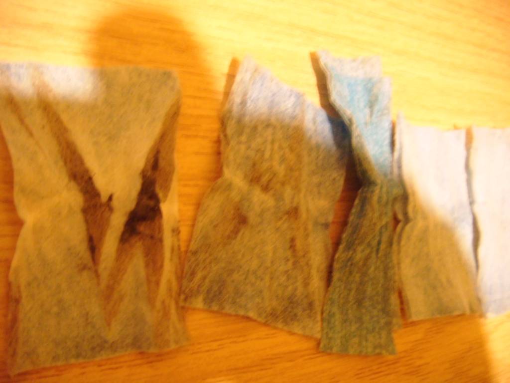 DSCF4011.1612894120.JPG