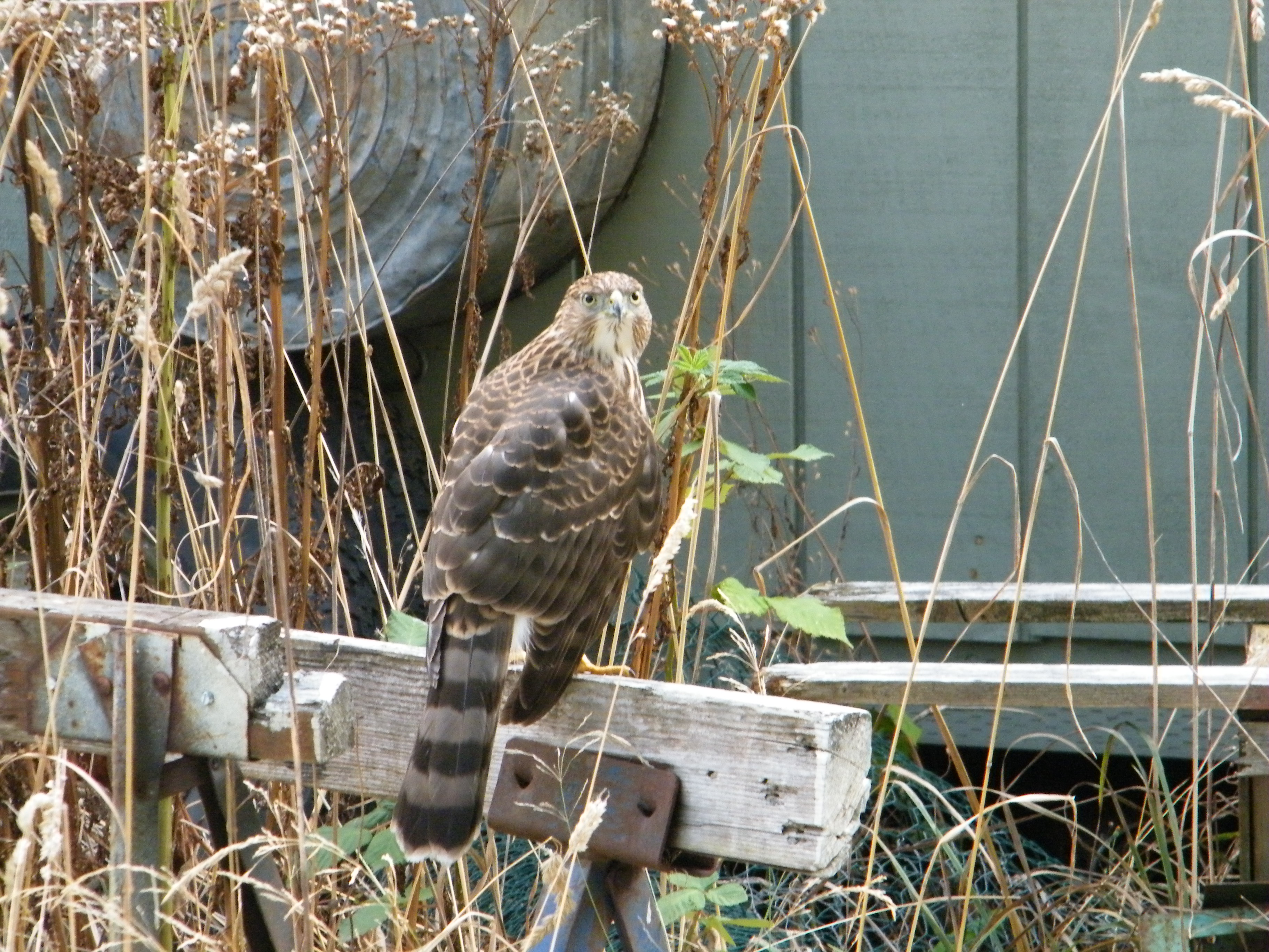 DSCF8058.JPG