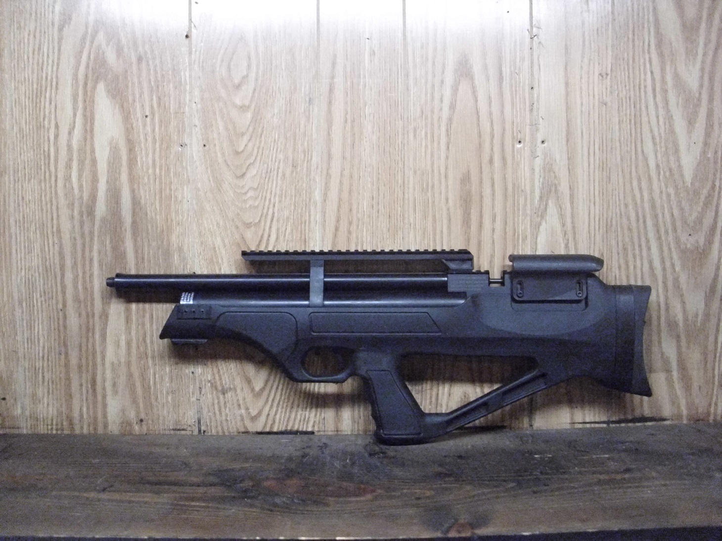 DSCI0495.JPG