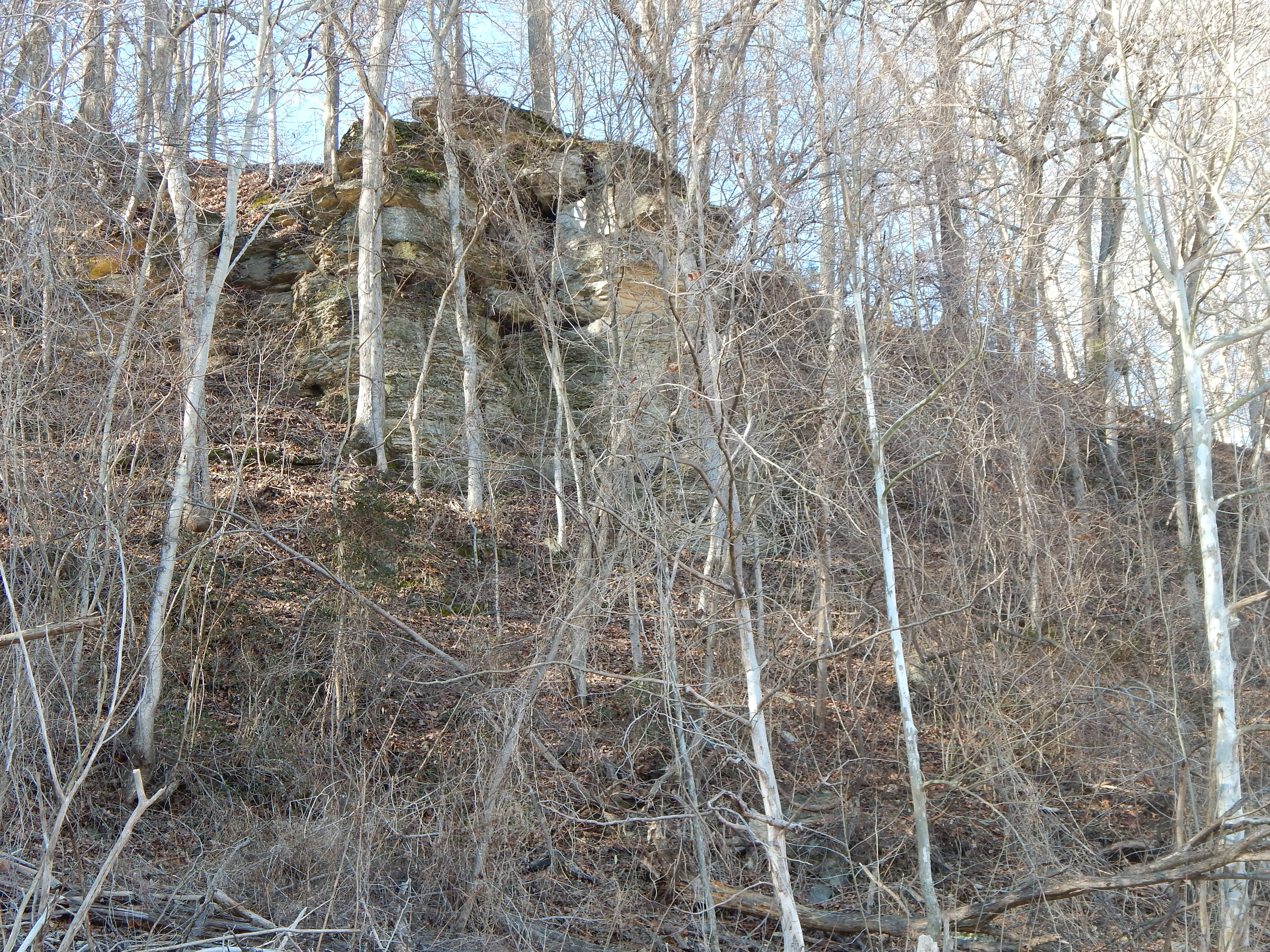DSCN0186.JPG