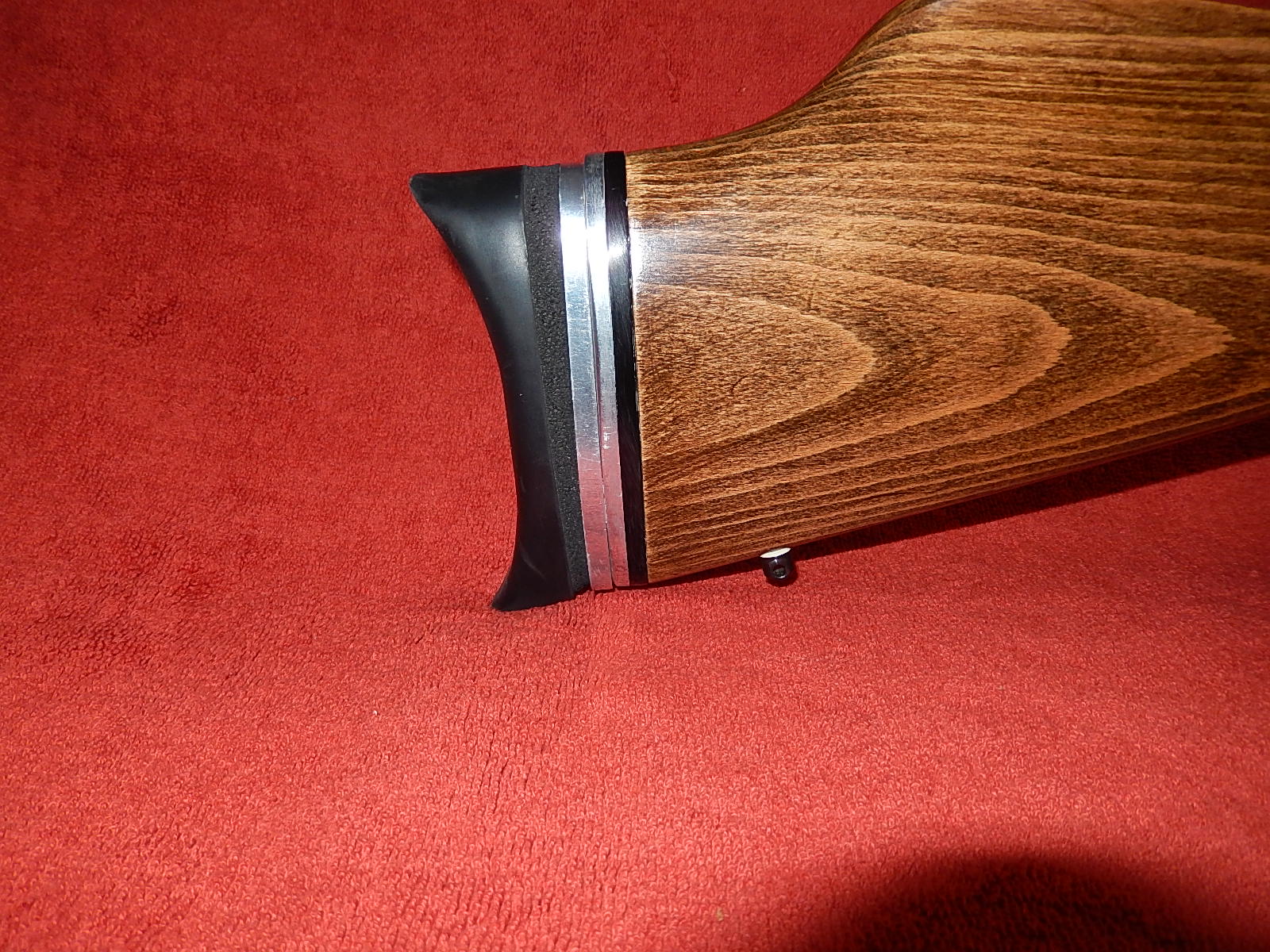 DSCN0203.JPG