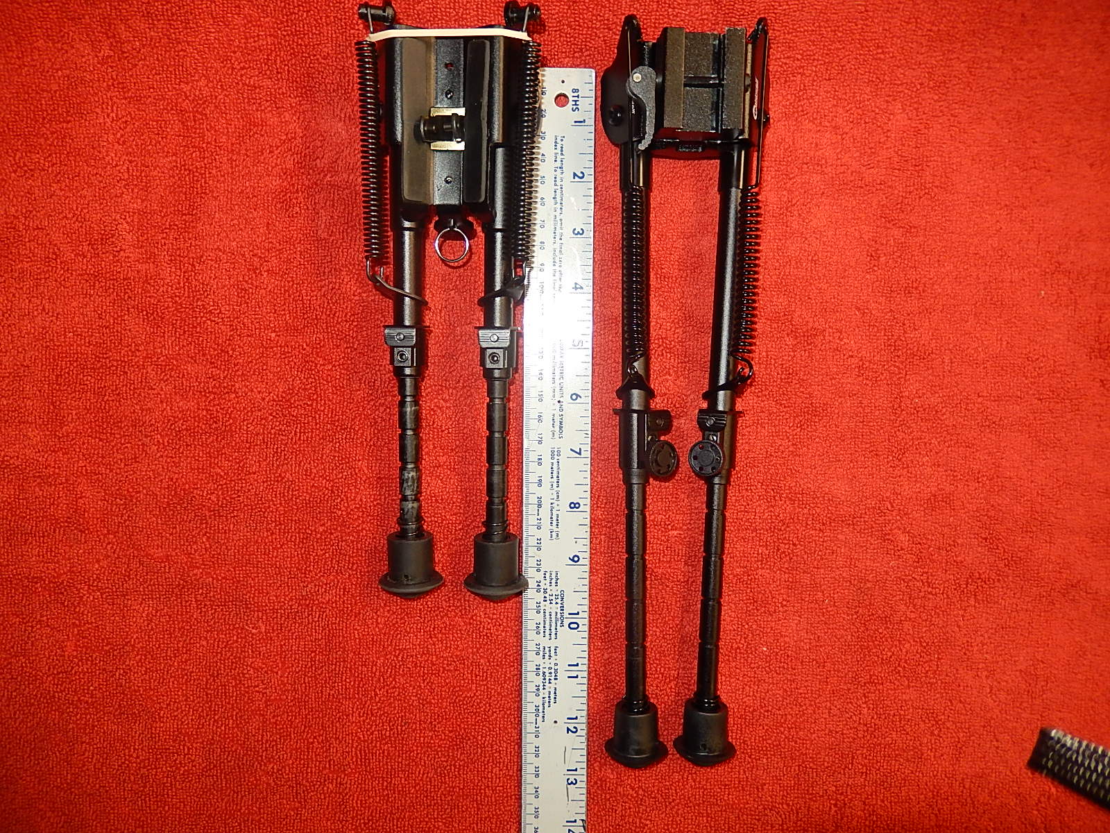 DSCN0447.JPG