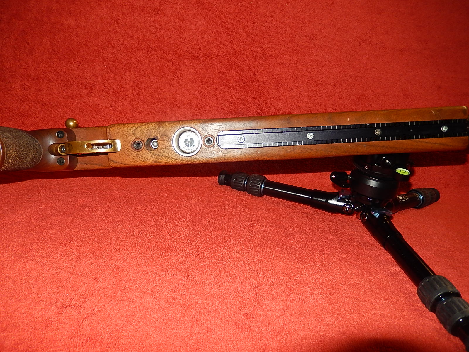 DSCN0452.JPG