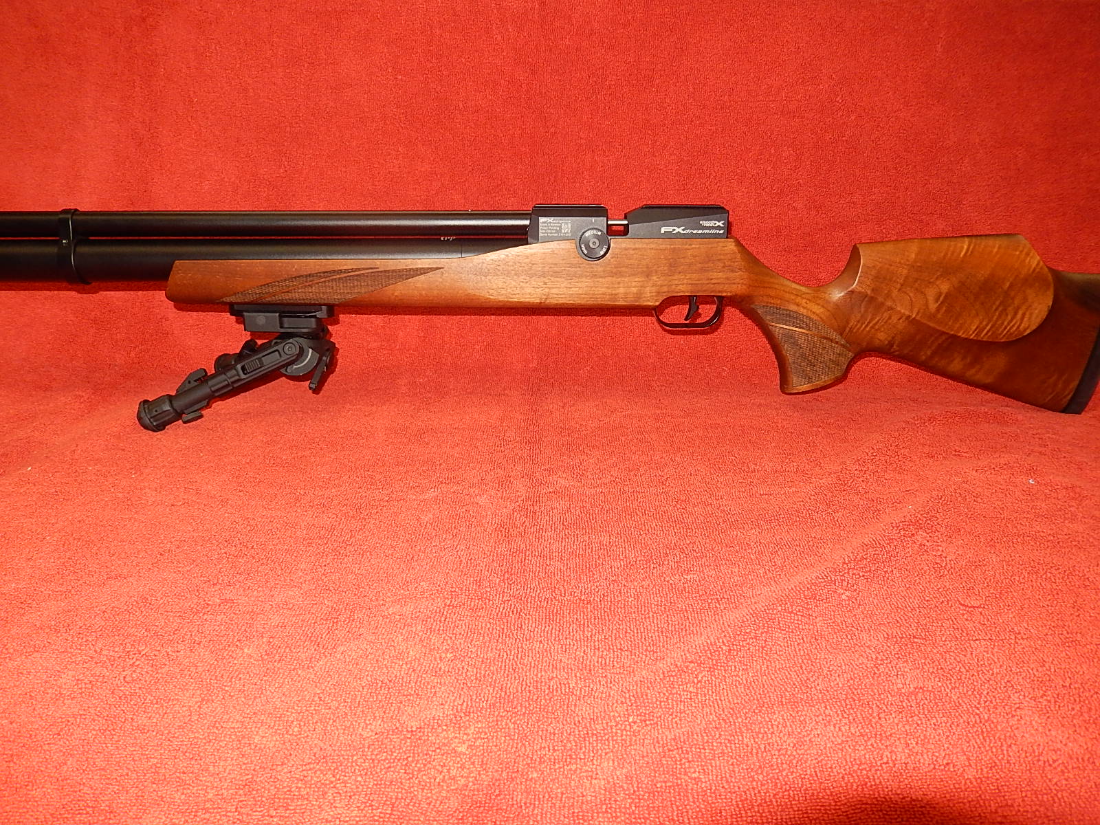 DSCN0455.JPG