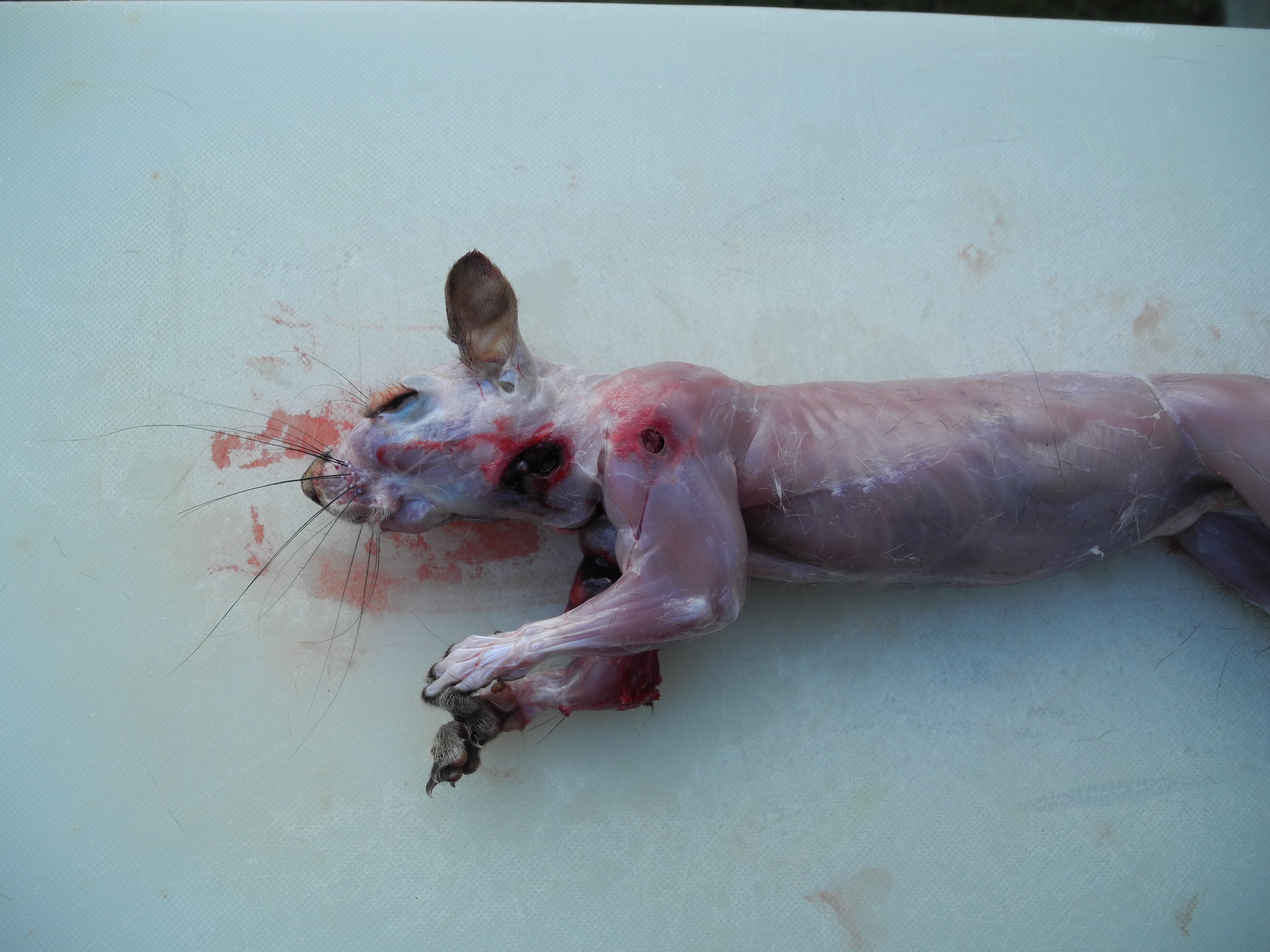DSCN3990.JPG