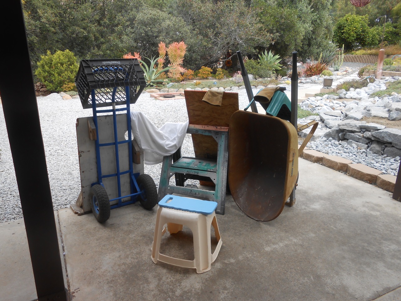 DSCN5029.jpg