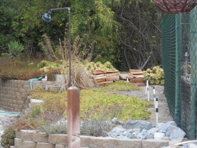 DSCN5143.jpg