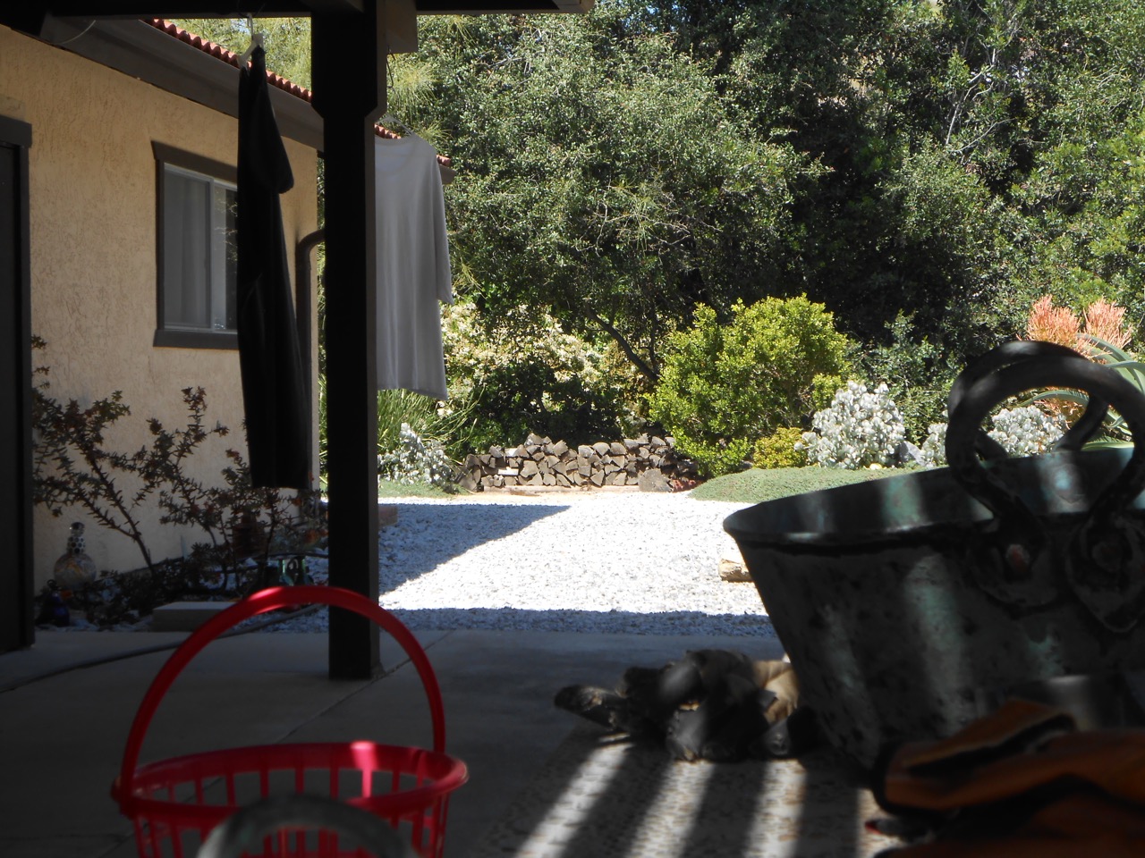 DSCN6988.jpg