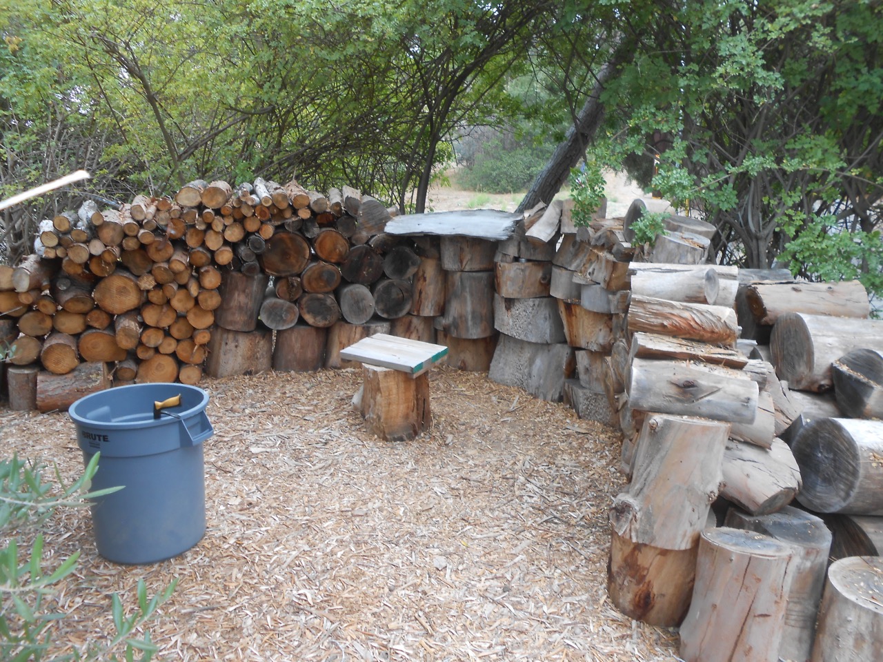 DSCN7161.jpg
