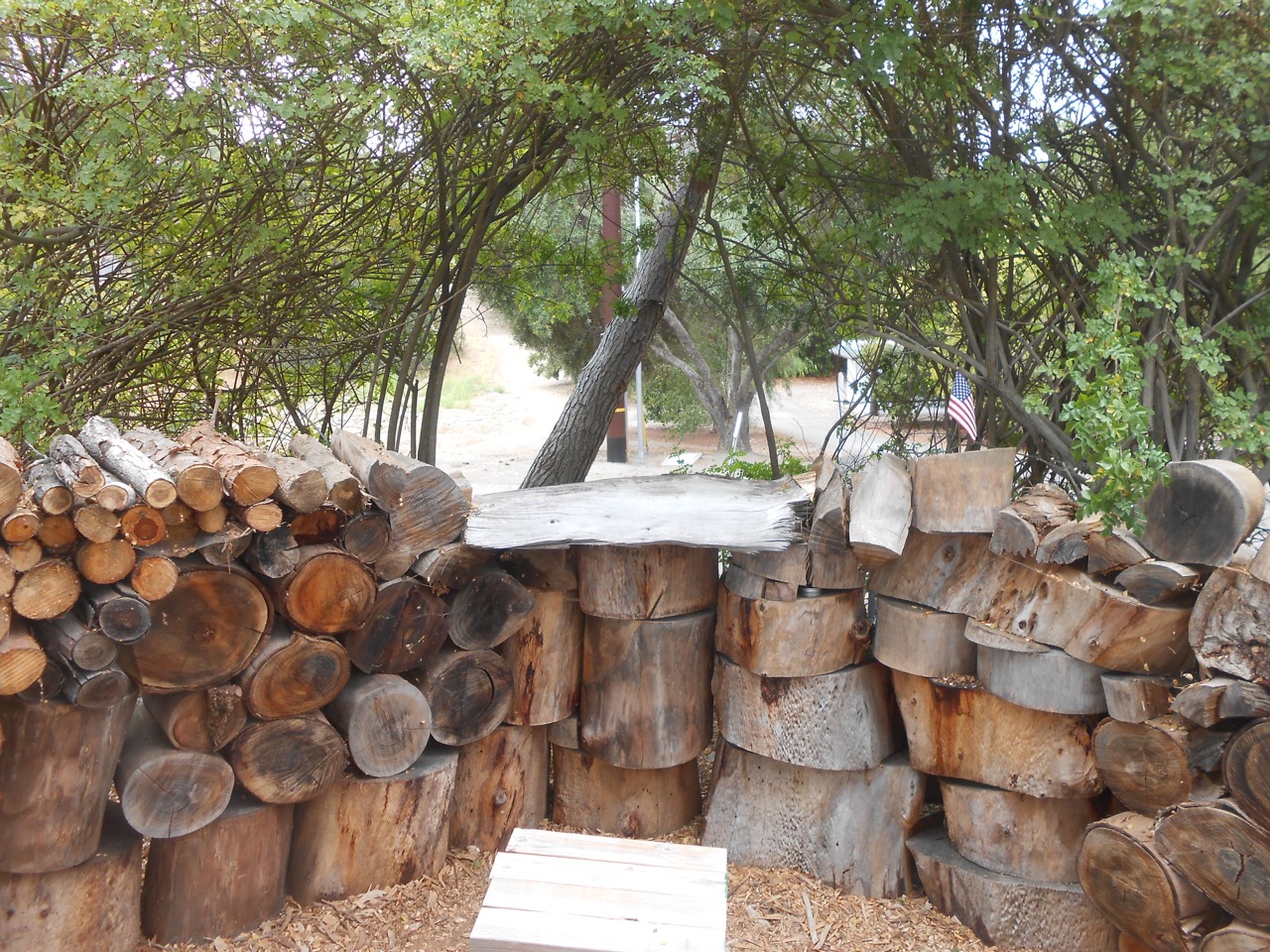 DSCN7162.jpg