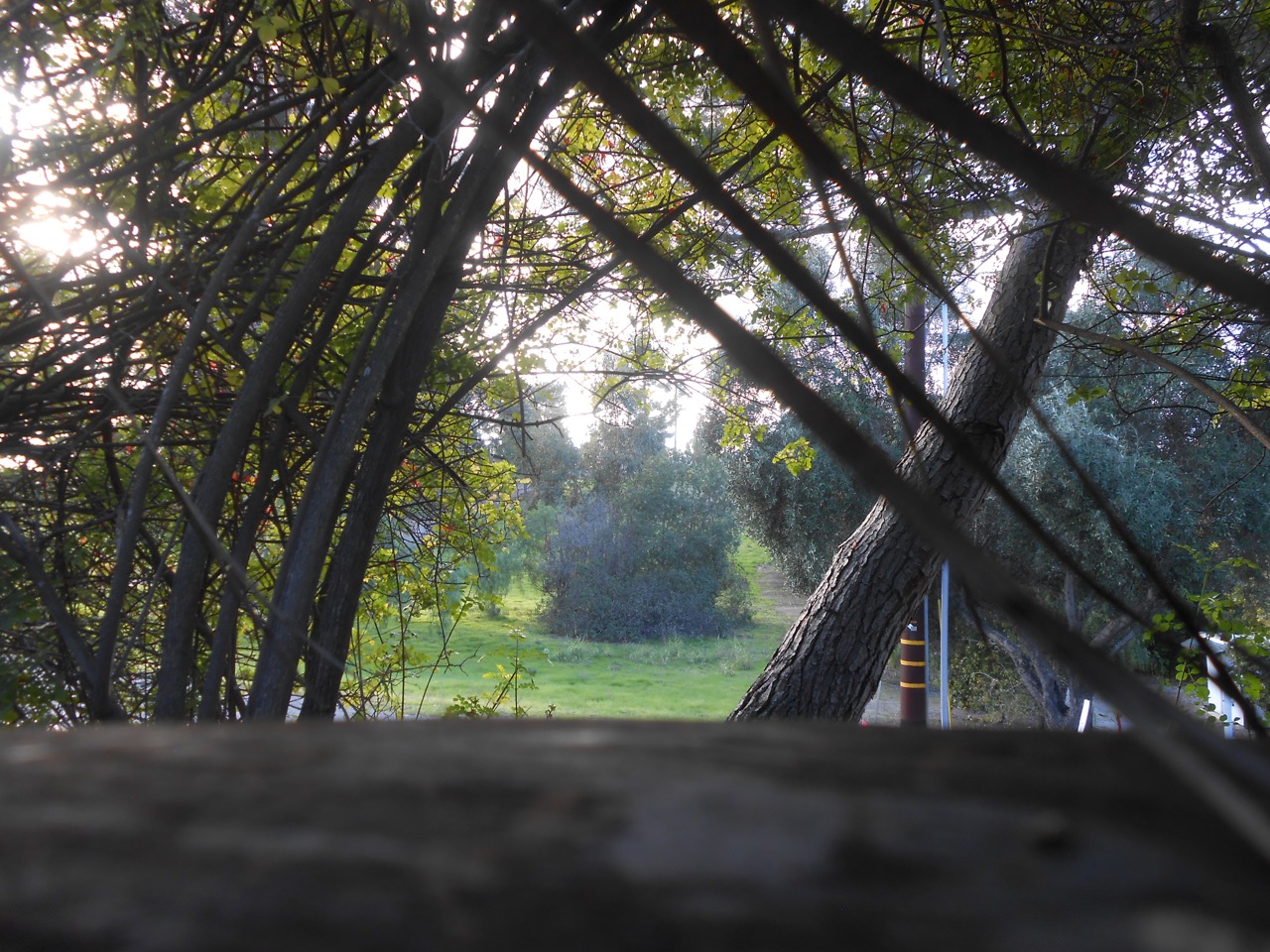 DSCN7539.jpg