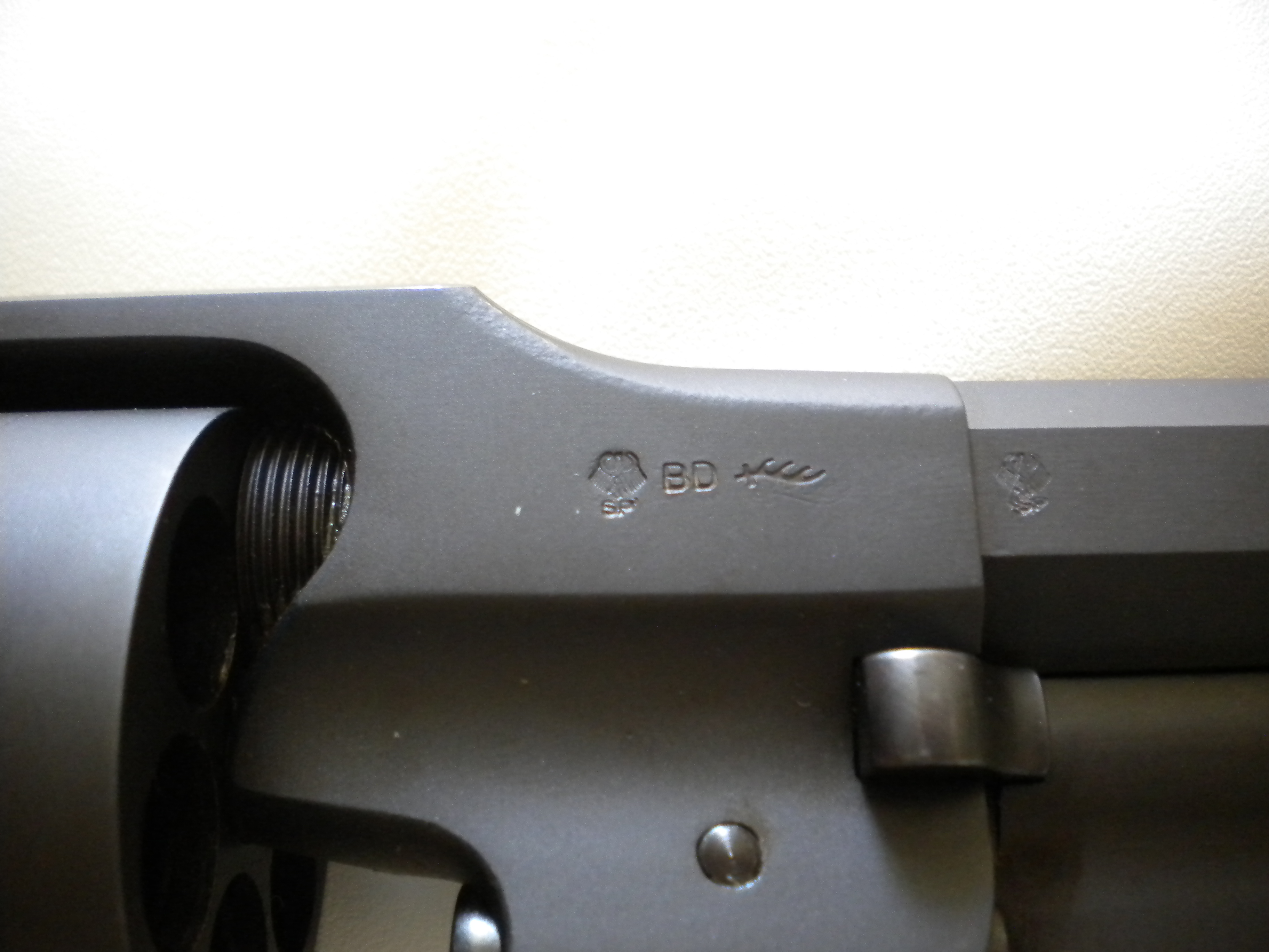 DSCN9236.JPG
